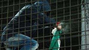 LPF a pedepsit drapelul ars de la Cluj, rapidiștii se revoltă:** "La noi nu s-a mai sesizat nimeni când a fost ars tricolorul în Ungaria!" Cum explică "vișiniii" gestul din Gruia