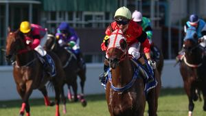 Moment terifiant în timpul unei curse de cai! Au fost cât pe ce să se izbească de ambulanță