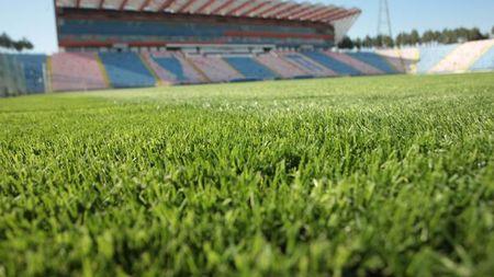 Neșu: „Steaua trebuie să revină în Ghencea"