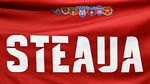 Anunțul generalului-maior Roșu despre noul comandant al CSA Steaua București! Cât de importantă e promovarea echipei de fotbal în Superliga
