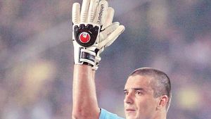 De mic i-a plăcut poarta