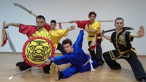 Lotul Național al României nu poate pleca la Campionatele Mondiale de Wushu din cauza lipsei de fonduri