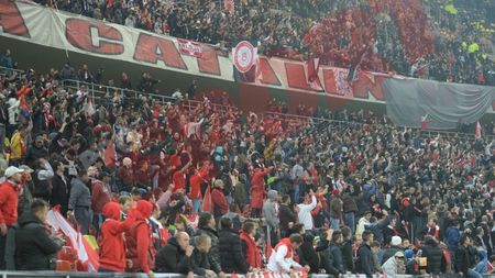 Vești bune pentru fanii "câinilor". Dinamo își propune ieșirea din insolvență în 2015 și participarea în cupele europene în 2016-2017