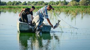 Ce se întâmplă cu pescuitul din România. Legea care schimbă totul: „Va aduce 1 la sută din PIB”
