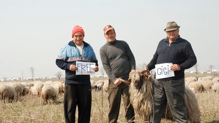 "Free Gigi" de la Rast!