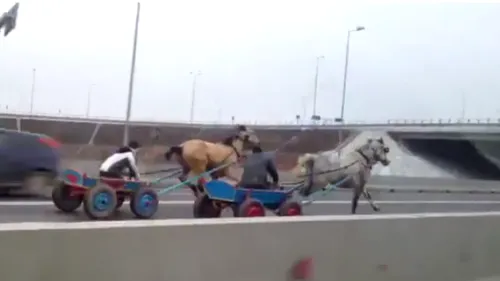 VIDEO Liniuță între căruțe! Autostrada Soarelui a fost transformată în hipodrom. Imagini uluitoare