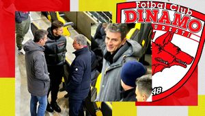 Probleme pentru acționarul lui Dinamo: firma sa, parte din Red&White, s-a adresat justiției pentru a se salva de la faliment. EXCLUSIV