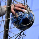 Biletul Zilei: Handbal și tenis pentru un nou „VERDE” »»