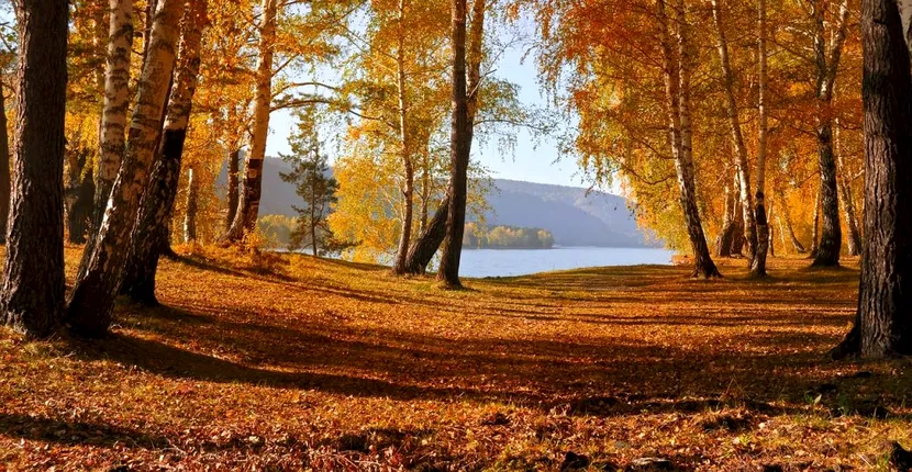 Prognoza meteo 19 decembrie 2019! Valori termice peste cele normale acestei perioade