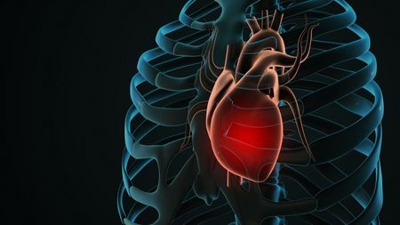 Doctorul Dragoş Vinereanu a dezvăluit cum poți să ai o inimă sănătoasă: „Să uzi tricoul"