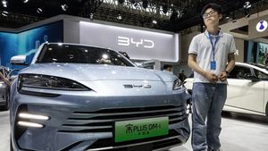 Prăbuşirea „diamantului din China”. De ce au scăzut substanțial acțiunile BYD, producătorul de maşini electrice