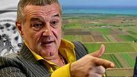 O nouă atracție pentru români se construiește cu 2.500.000 de euro pe terenul cumpărat de la Gigi Becali și familia lui