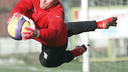 Au rupt "Pisica" în două