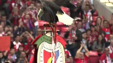 Cea mai ciudată ofertă de transfer din această vară. Ce propunere a primit Benfica de la AEK Atena :)