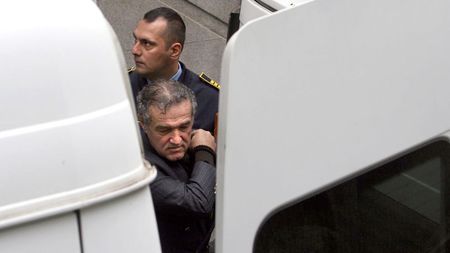 Becali către judecători: "Vreau să gătați chinurile!" Finanțatorul Stelei s-a prezentat astăzi la Tribunalul București