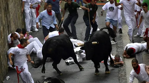 Bilanțul „victimelor” după primele două zile de „Alergat Taurii” la Pamplona. Sărbătoarea anuală a curselor de tauri se desfășoară timp de 8 zile consecutiv, în fiecare dimineață