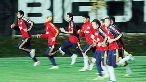 Naționala, sperietoare pentru fotbaliștii de succes!** "REGRET cu amărăciune că am ales să joc pentru România"