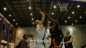 Elba Timișoara, la mâna austriecilor