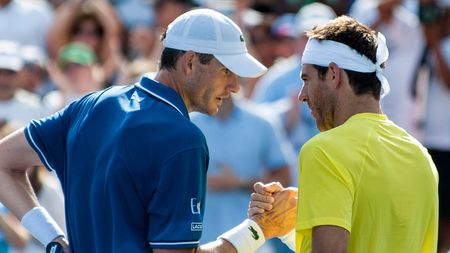 Del Potro, în mare formă: s-a impus în finala de la Washington în fața lui Isner