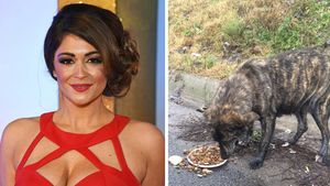 "Au crezut că sunt teroristă!" O vedetă din Anglia susține că a fost reținută în timp ce filma un documentar despre maidanezii din România