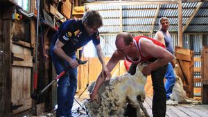 SUPER FOTO** Vettel se antrenează pentru cursa de la Melbourne cu mașina...de tuns oi :)