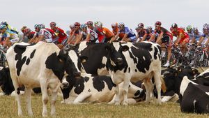 FOTO Vezi imagini superbe din Turul Franței! Tour de photos