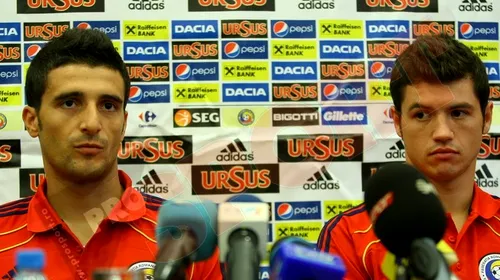 Daniel Niculae:** „Ne batem cu Franța și Bosnia pentru calificarea la Euro 2012”