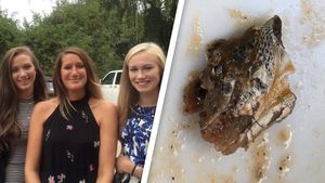 Sosul pe care nu-l vei mai cumpăra niciodată! Un cap de șopârlă a fost descoperit într-un borcan vândut de un magazin care activează și în România