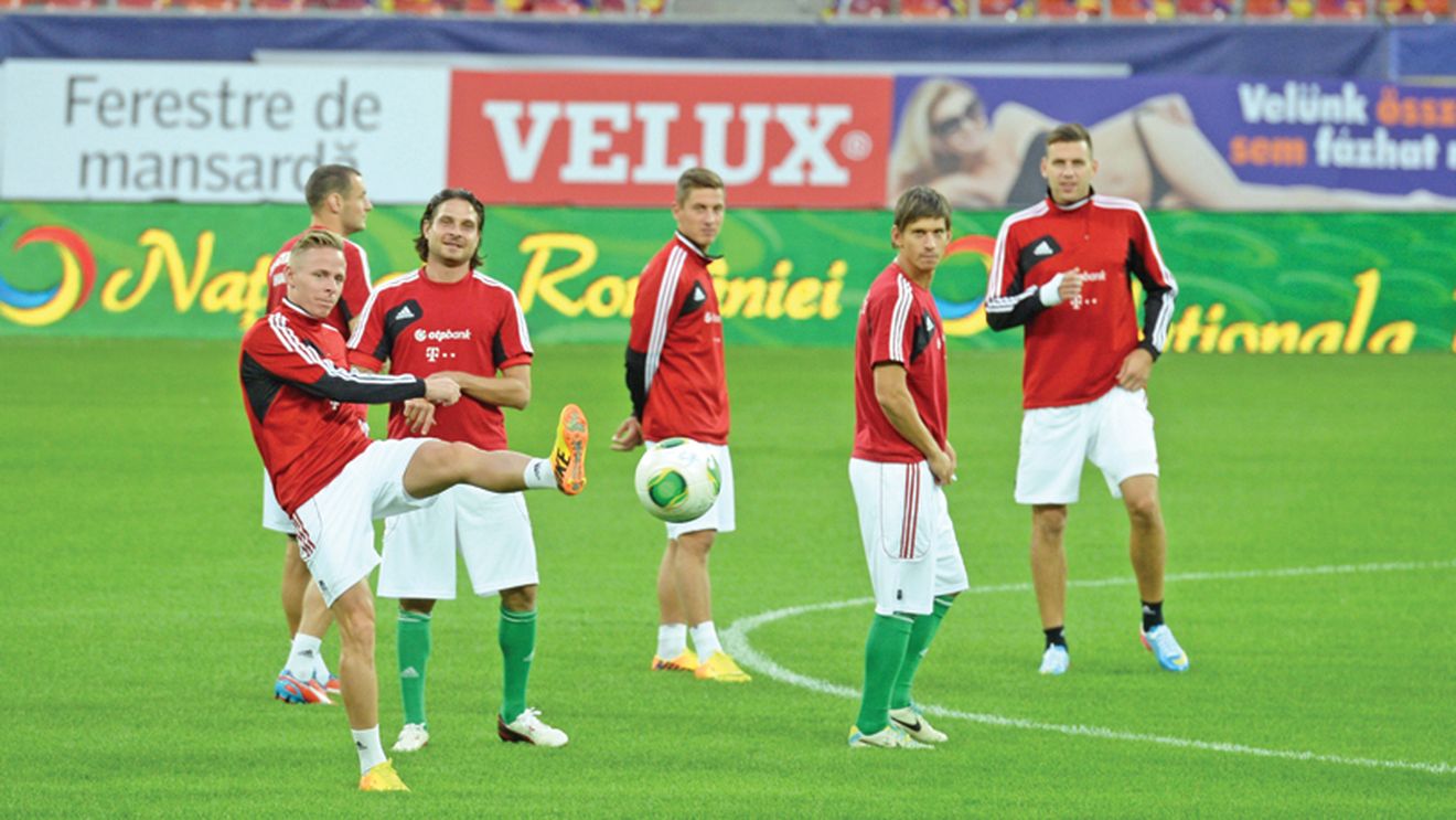 Jucăm pe pământ unguresc! Gazonul montat pe Național Arena a fost produs în Ungaria