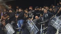 Fanii Rapidului s-au luat la bătaie între ei la derby-ul cu Dinamo. Jandarmii, chemați de urgență în peluză