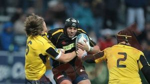 "Lupii" sunt decimați de accidentări pentru meciul cu Worcester