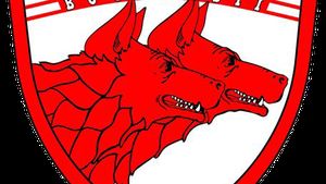 Suporterii au decis noul logo al lui Dinamo: „Rămâneți aproape!” Când aflăm votul legendelor