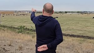 Un milionar român a cumpărat masiv terenuri în Lunca Dunării, dar afacerea cu care vrea să se îmbogățească e lovită crunt de haitele de șacali!