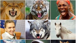 WTA Planet. Victoria Șarapovei în fața Simonei Halep l-a inspirat pe un analist american: "În absența leoaicei, tigroaica a ieșit în față". Cu ce animal o aseamănă pe Simona Halep