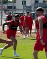 FC Bihor a solicitat FRF să-i amâne meciul cu Steaua, dar s-a lovit de refuz! Orădenii au probleme cu mai mulți jucători. ”Până la urmă, trebuie să fim bărbați”