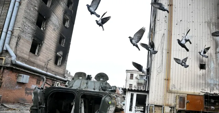 Locuitorii din Mariupol „trebuie să vâneze porumbei” din cauza lipsei de hrană. Cât de periculos este să-i mănânci
