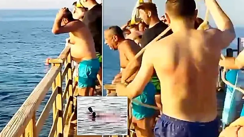O româncă a fost ucisă de un rechin în Egipt. Salvamarii, acuzați că au râs de avertismentele turiștilor. ”Au văzut un rechin cu 15 minute înainte de atac”