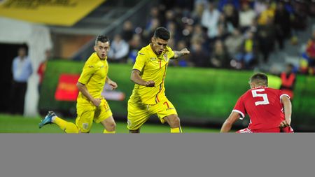 Au fost puse în vânzare biletele pentru amicalul România - Belgia