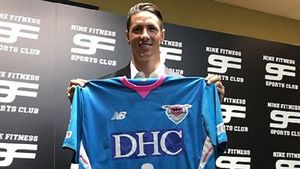 Fernando Torres și-a anunțat retragerea din fotbal