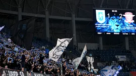 Poza 1