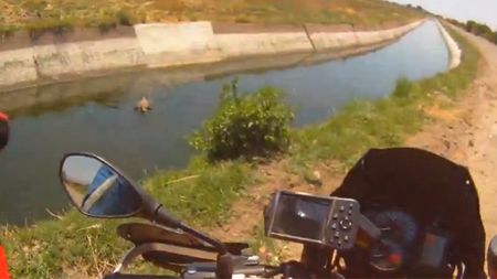 VIDEO Gestul care a UIMIT o lume!** A renunțat la calificările în care concura pentru a salva viața unui... vițel