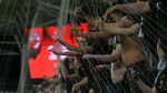 Vrei bilet la Dinamo-FCSB? Sistemul incredibil prin care pot intra dinamoviștii la derby! EXCLUSIV
