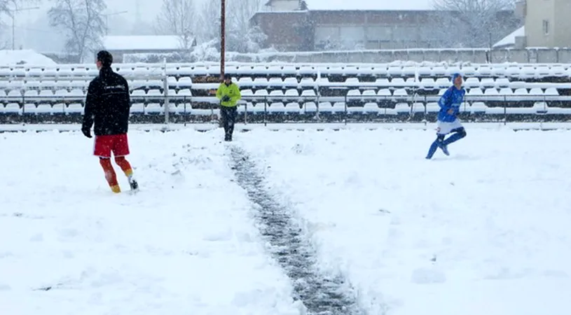 Amicalul cu FC Voluntari a picat!** Niculescu le-a dat liber jucătorilor până duminică