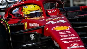 Gest de milionar. A dat mesaj pe grupul de whatsapp al piloților și le-a oferit un loc în avionul lui