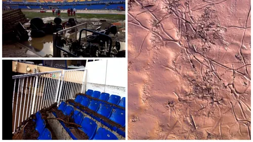 FOTO | Imagini apocaliptice de pe stadionul lui Montpellier. Gazonul a fost transformat în nămol, tribunele și vestiarele au fost inundate