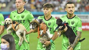 Semnează Amzăr cu Rapid și o „vinde” pe Dinamo? „Ne-ai trădat”. Cum a reacționat fotbalistul când a primit mesajul pe telefon