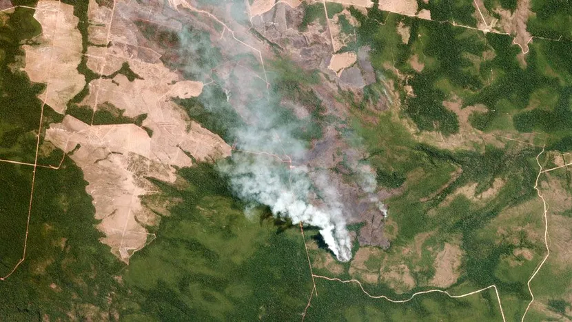 VIDEO | Imagini dezolante cu incendiile care mistuie Pădurea Amazoniană