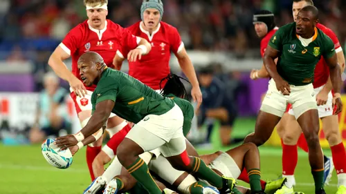 Cupa Mondială Rugby 2019 | Anglia sau Africa de Sud? Cine este favorită în finală. Prețul pentru un tichet de meci a ajuns la sume fabuloase