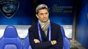 „Nu m-aş mai întoarce acolo!”. Răzvan Lucescu a dezvăluit oferta pe care a refuzat-o pentru PAOK