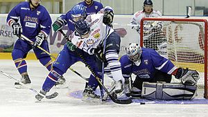 Interliga, o  competiție nouă la un pas de finalizare